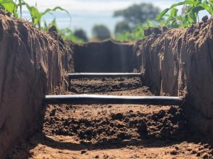 Gotejamento impulsiona a produção de café com eficiência hídrica