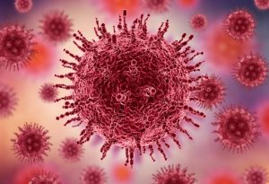 Após novos casos, França entra em alerta “alto” para gripe aviária