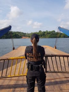 Polícia Federal apreende bens de R$ 1 milhão de investigados por desmatamento