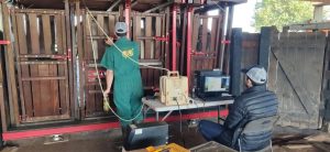 Ultrassonografia de carcaças consegue antecipar dados de rendimento da carne