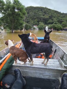 Equipes da Copel chegam de barco a áreas alagadas