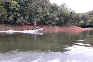 Ação do IAT coíbe infrações ambientais no PR