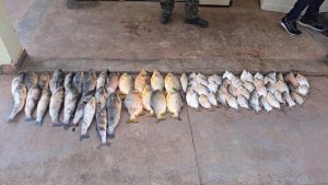 Sema-MT e Polícia apreendem pescado ilegal em fiscalização na piracema