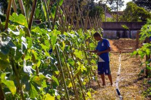 Projeto incentiva conhecimento sobre o campo nas escolas
