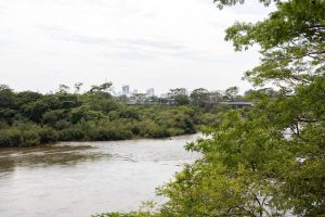 Com pesca proibida, fiscalização nos rios é intensificada durante período da piracema