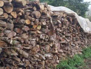 Polícia flagra “montanha” de lenha de árvores nativas