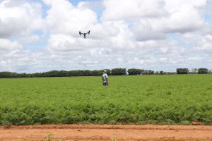 Agro expande PIB do Paraná e prova importância da assistência técnica