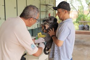 Contra a raiva: milhares de cães e gatos são vacinados em Foz do Iguaçu