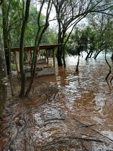 Rio Iguaçu atinge nível de alarme e prejuízos são incalculáveis na área rural 