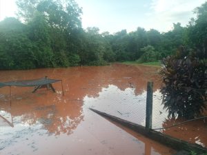 Aumento rápido no nível do Rio Iguaçu coloca cidades em ainda mais alerta no Sudoeste