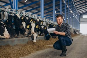 Zootecnia entra para a lista de cursos de ciências agrárias da Uniguaçu