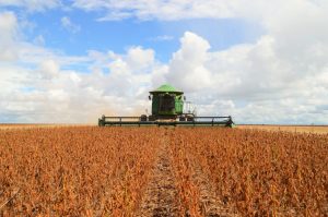 Rondônia tenta emplacar a taxação do agro e produtores reagem