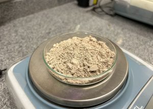 Evolução na pesquisa: estudo inédito desenvolve concentrado proteico de feijão carioca