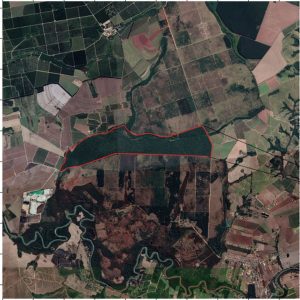 Estudo feito em reserva biológica mostra relação de biomassa acima do solo com biodiversidade