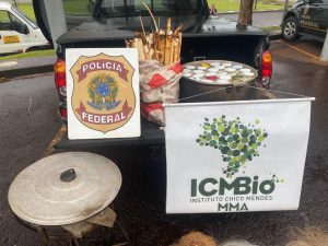 Apreensão de palmito ilegal no PR aumenta alerta sobre risco a saúde de quem consome