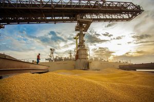 Produtos do agronegócio representam quase 50% das exportações brasileiras