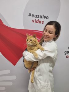 Doação de sangue pet: Hemocentro veterinário chega a Cascavel e convoca voluntários