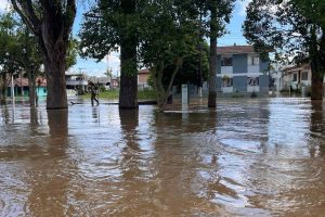 Tempo chuvoso exige reforço nos cuidados contra a leptospirose