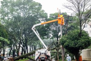 Chuvas no PR: equipes trabalham para reestabelecer energia, mas áreas alagadas dificultam acesso