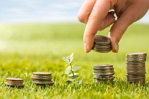 Agronegócio brasileiro em expansão: crescimento do setor pode chegar a 35,9% neste ano