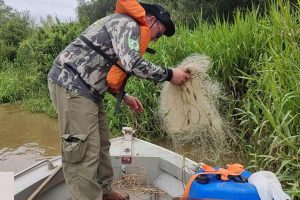 Piracema começa com fiscalização intensa para evitar pesca de espécies nativas no PR