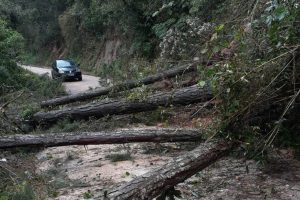 Com muita chuva, Paraná tem vários trechos de rodovias bloqueados