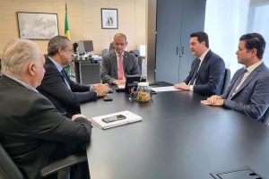 Estado busca apoio federal para ampliar atendimento a afetados pelas chuvas