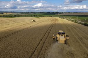 Valor da Produção Agropecuária é atualizado para R$ 1,150 trilhão