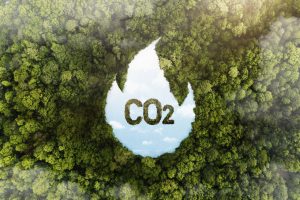 Paraná poderá ter programa sobre mercado de carbono