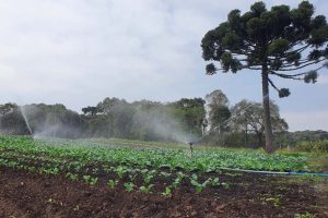 Orgulho da Terra: prêmio valoriza uso de tecnologias na agropecuária paranaense