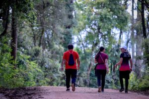 Caminhadas na Natureza injetam mais de R$ 1 milhão na economia do campo