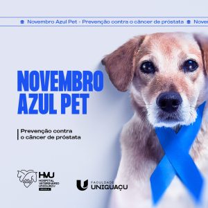 Novembro azul: Câncer de próstata também pode atingir os animais de estimação