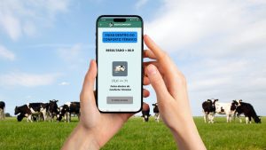 Tecnologia a favor do agro: aplicativo ajuda a calcular conforto térmico para bovinocultura de leite