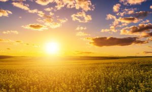 Inmet emite alerta para onda de calor nos próximos dias