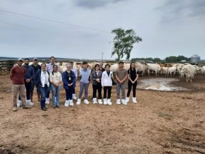Missão da Coreia do Sul vem ao Brasil conhecer processo de produção de bovinos