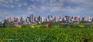 Com agronegócio no DNA, Cascavel completa 72 anos de evolução e desenvolvimento
