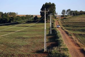 Programa paranaense que reforça infraestrutura elétrica da área rural já atende 87% do estado