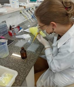 Pesquisadores desenvolvem película biodegradável para conservação de alimentos