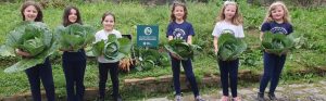 Projeto “Plantando para o futuro” rende bons frutos em Santa Catarina
