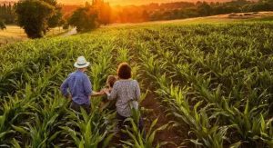 Seminário vai debater projetos de pesquisa e inovação na agricultura familiar