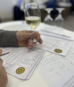 Inscrições abertas para a 2ª edição do Concurso Brasileiro de Vinhos de Mesa