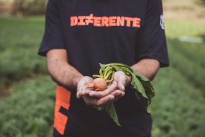 Oferta de orgânicos ainda é insuficiente para atender a demanda no Brasil