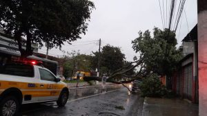 Fortes chuvas e muita ventania causam mortes em SP