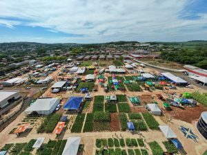 Dia de Campo da Faculdade Uniguaçu: falta menos de um mês para uma experiência única de agronegócio