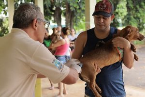 Foz do Iguaçu tem vacinação antirrábica para animais neste feriado