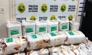 Carga de agrotóxico e energéticos é apreendida
