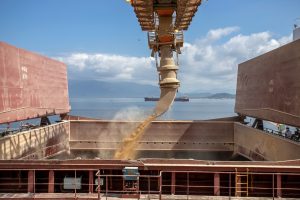 Exportações do Paraná aumentam 11,3% em dez meses