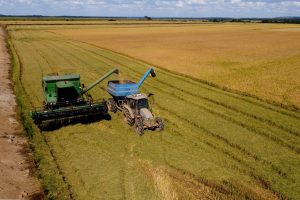 Capacidade de armazenagem agrícola cresce 4,8% e chega a 201,4 milhões de toneladas