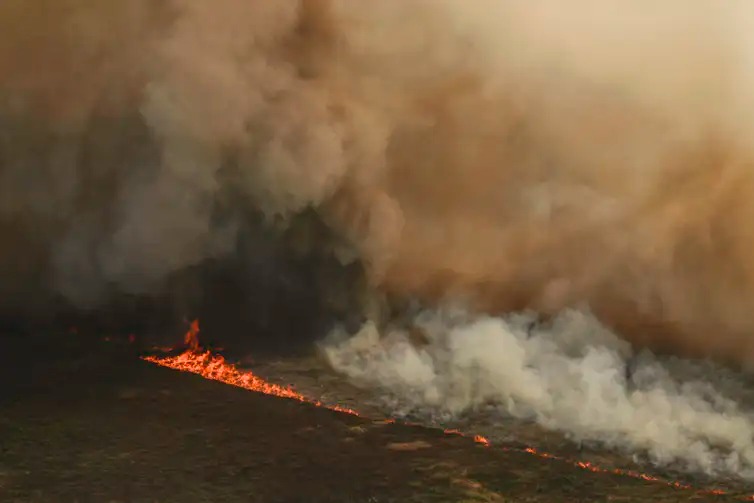 Incêndio pantanal - Agência Brasil