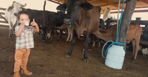 Com apoio técnico, criança com intolerância consome leite de vacas do sítio
